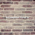 A Computer Virus Is