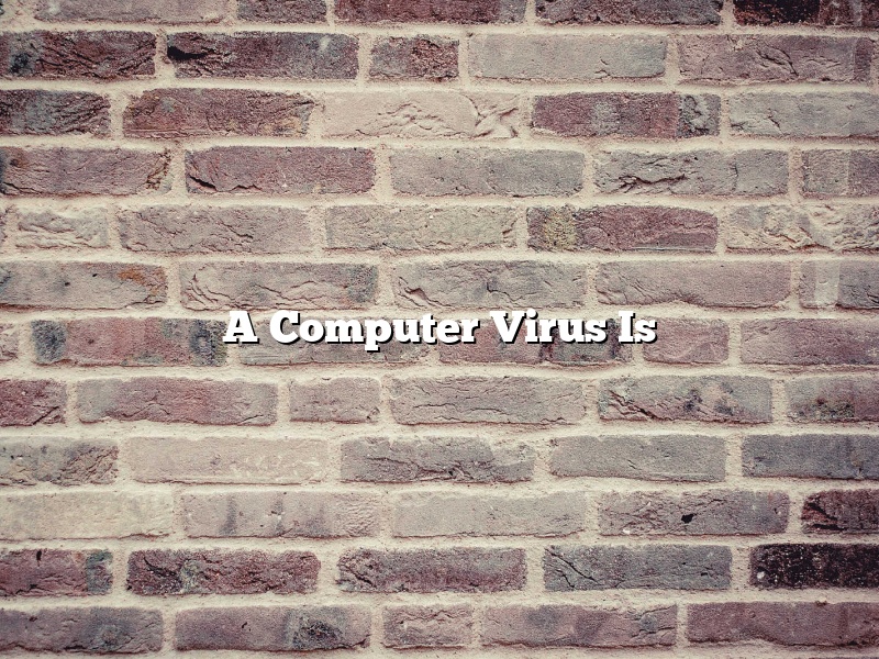 A Computer Virus Is