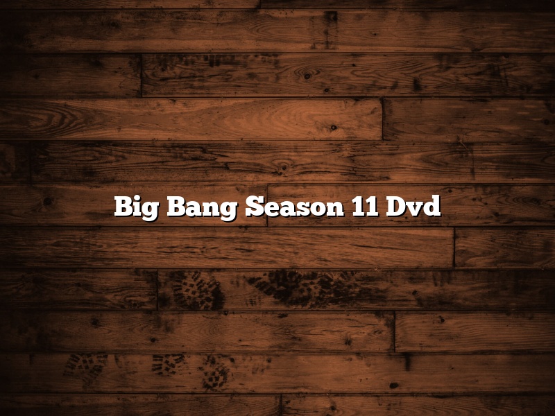 Big Bang Season 11 Dvd