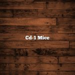 Cd-1 Mice