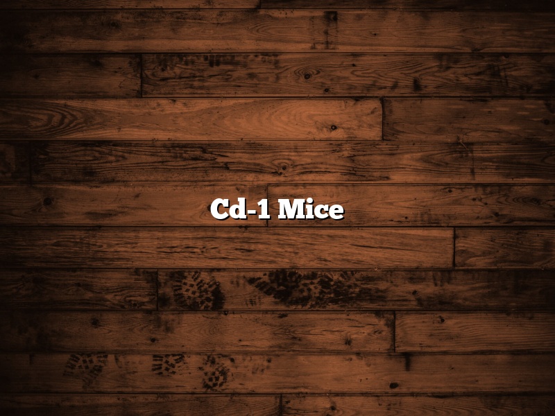 Cd-1 Mice