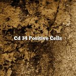 Cd 34 Positive Cells