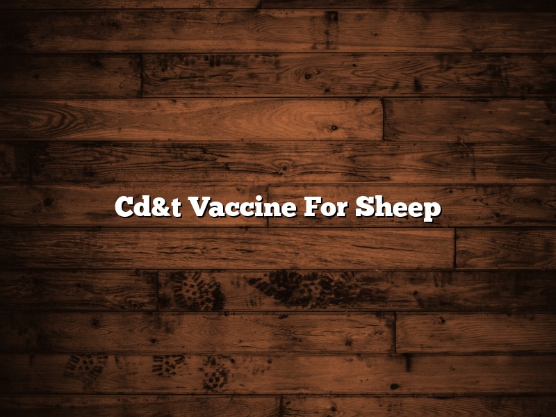 Cd&t Vaccine For Sheep