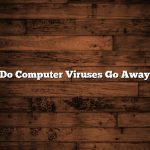 Do Computer Viruses Go Away