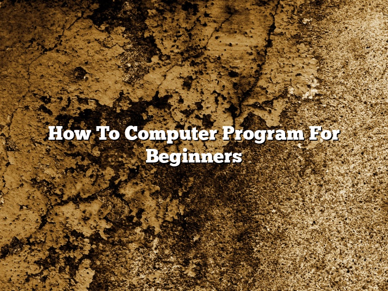 How To Computer Program For Beginners