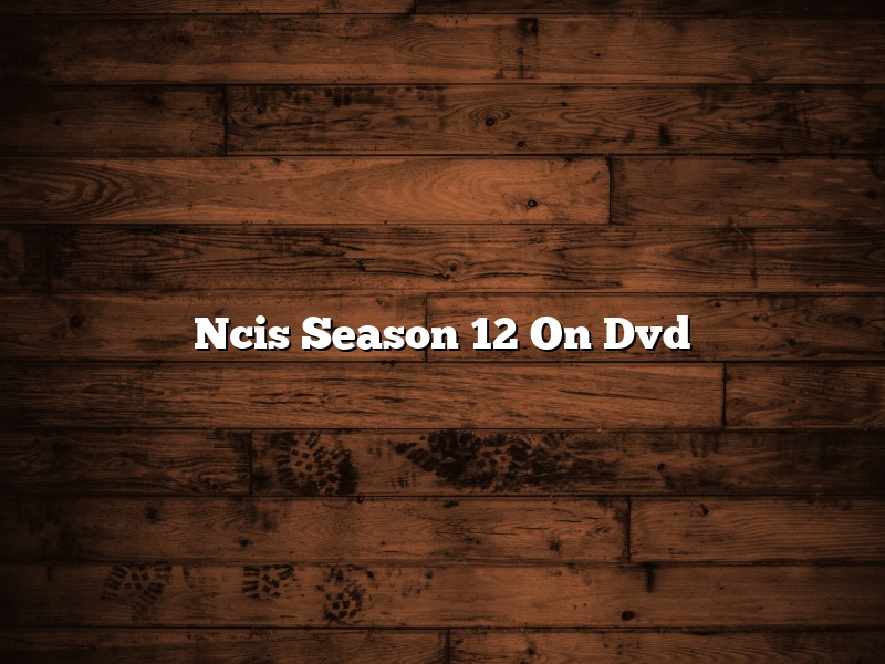 Ncis Season 12 On Dvd