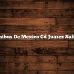 Omnibus De Mexico Cd Juarez Salidas