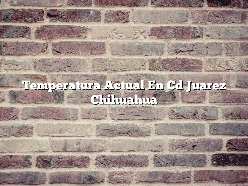 Temperatura Actual En Cd Juarez Chihuahua