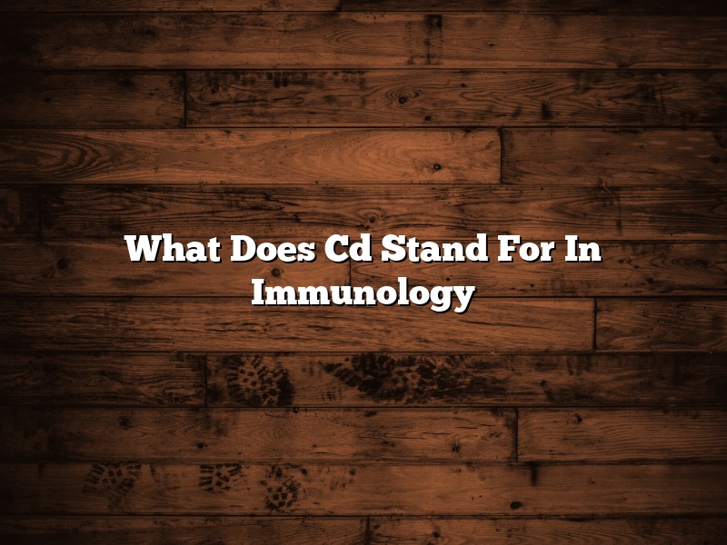 What Does Cd Stand For In Immunology