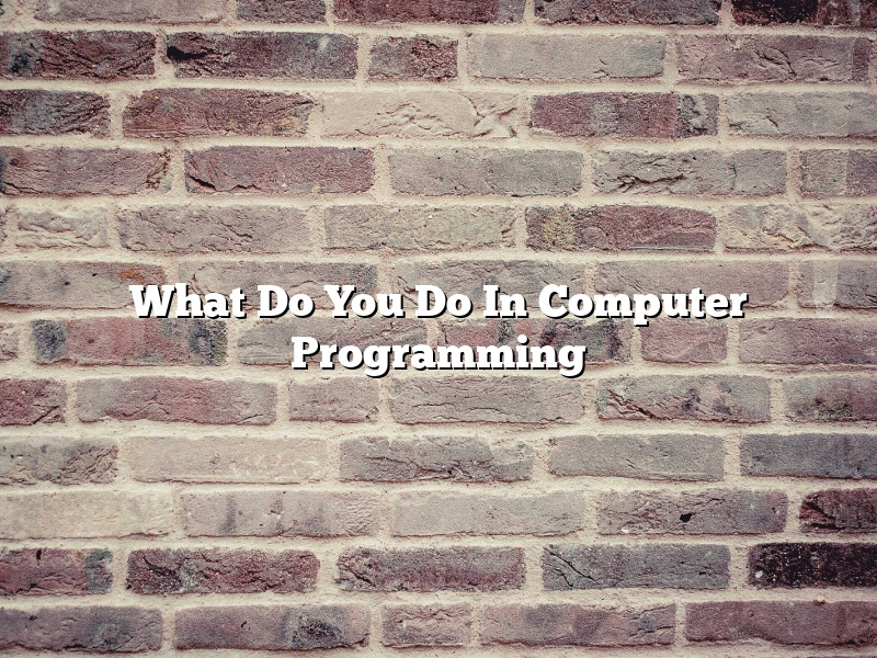 What Do You Do In Computer Programming