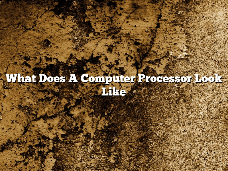 What Does A Computer Processor Look Like