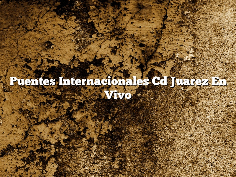 Puentes Internacionales Cd Juarez En Vivo